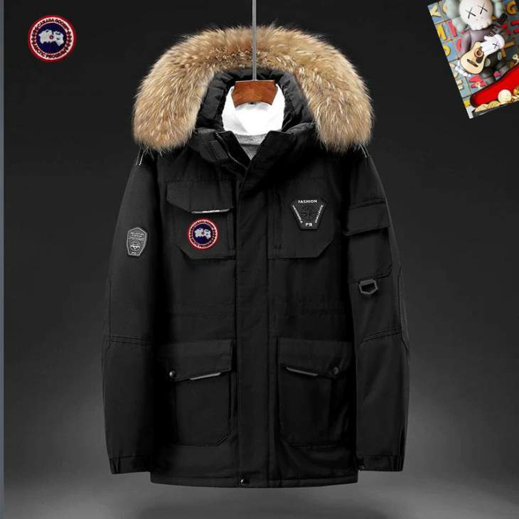 Picture of Canada Goose Down Jackets _SKUCanadaGooseM-3XL25tx0537924